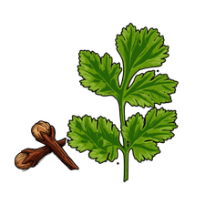 Humulen